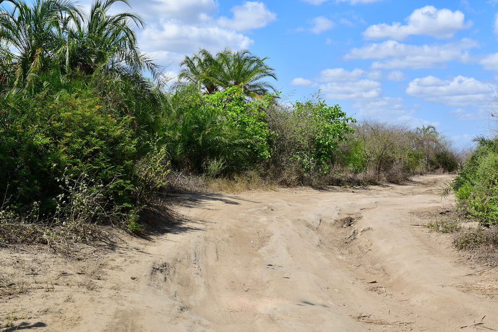 Morondava to Manja
